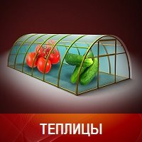 Теплицы